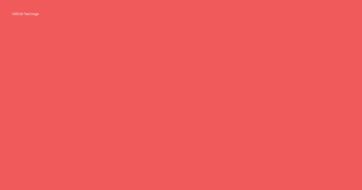 Plain red CMS QA test image